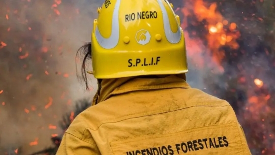 SPLIF colabora para combatir incendios en el Parque Nahuel Huapi