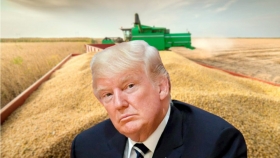 Día de los Lamentos: la soja cae en Chicago tras los aranceles de Trump y crece el temor a represalias