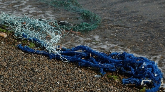 América del Sur refuerza acciones contra los plásticos marinos para proteger la pesca y los océanos