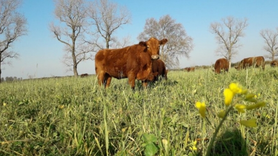 Promueven la agricultura regenerativa circular como otra forma de ver los sistemas agropecuarios