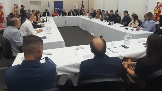 Río Negro participó de reunión del Consejo de Órganos Locales Competentes