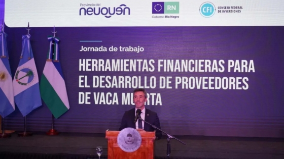 El CFI apuesta a las pymes para potenciar el impacto de Vaca Muerta