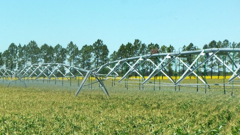 Proyectos productivos demandarán cerca del 95% del agua del Acueducto