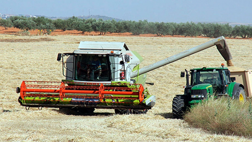 El COPA-Cogeca prevé menos colza y trigo en la UE-28 y bajos ingresos para los productores