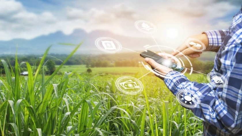 AgTech en Argentina: Transformando la agricultura y ganadería del país