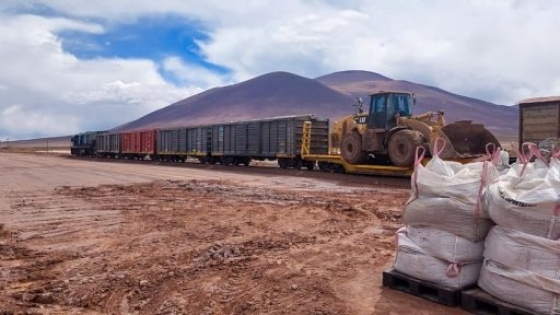 <Trenes Argentinos Cargas: de Buenos Aires al NOA, un éxito para la minería