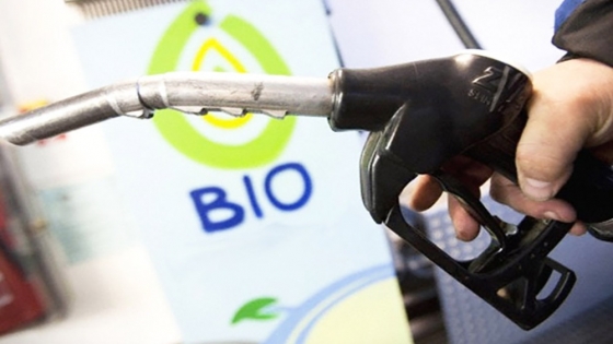 Fijan nuevos precios de los biocombustibles para su mezcla con naftas y gasoil