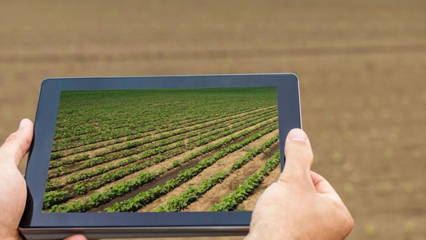 Nueva Zelanda: un país que lleva la innovación agrícola de las aulas a las huertas