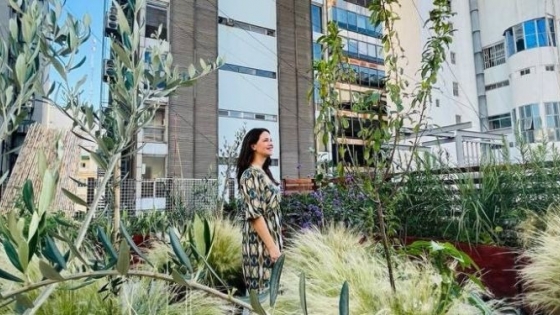 6 plantas que podés tener en una terraza llena de sol