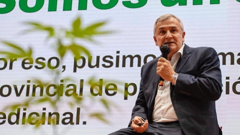 Morales logró el respaldo de expertos internacionales al proyecto jujeño de cannabis medicinal