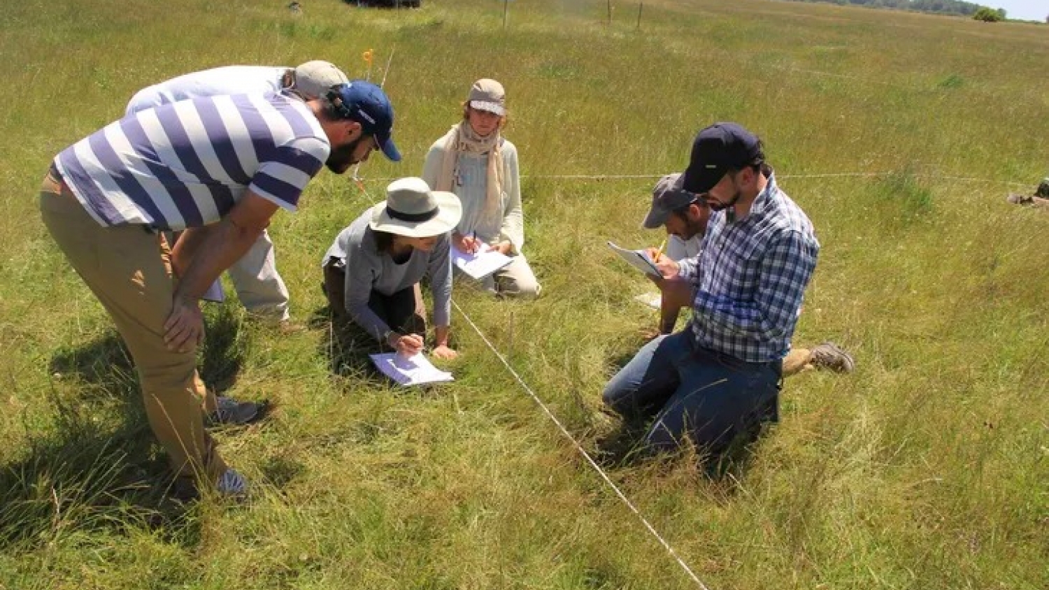 Sudamérica certifica más de 200.000 toneladas de carbono removidas en suelos ganaderos