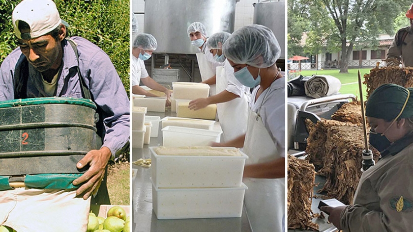 Problemas en las economías regionales complican el abastecimiento de varios productos de la canasta alimentaria