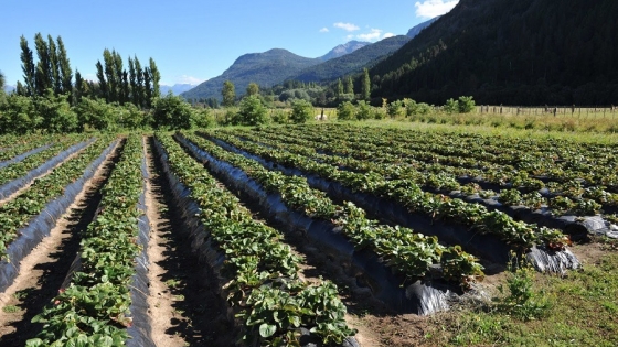 Agricultura familiar: el gobierno provincial firmó convenio con aldea Apeleg para producir hortalizas
