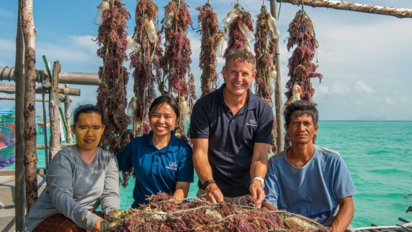 Seadling Launches New Malaysia Facility to Scale Functional Seaweed Ingredients Production