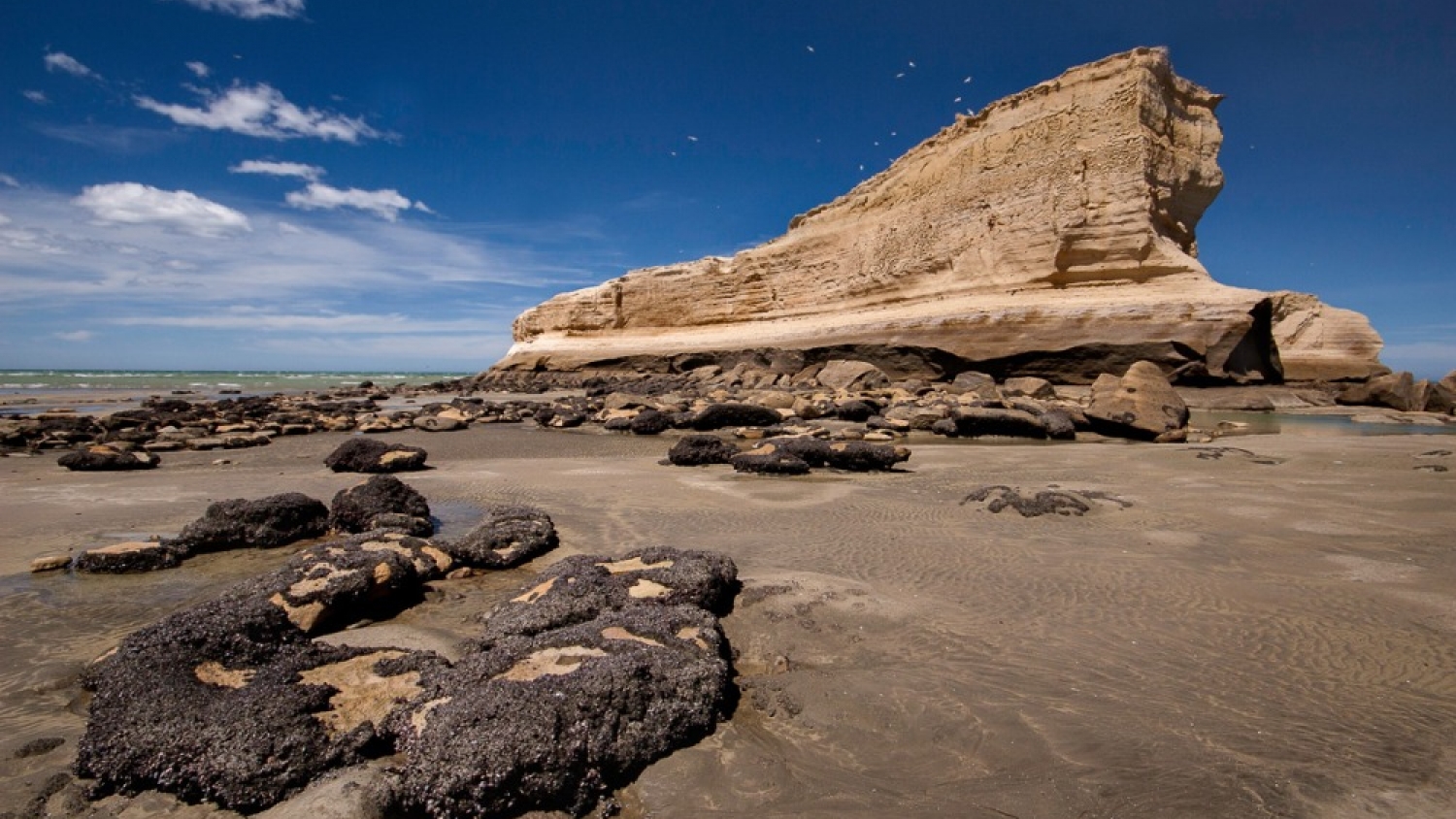 Monte León, la joya costera de Santa Cruz que enamora a quienes buscan naturaleza y calma