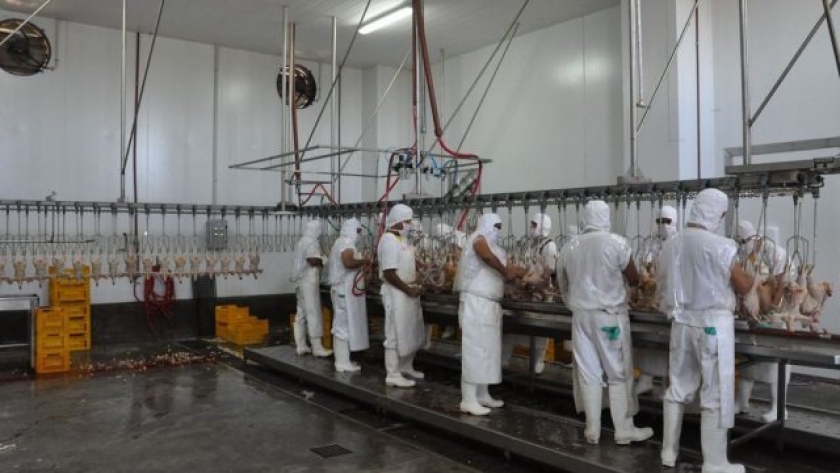 2 de cada 10 empleos vienen de la agroindustria