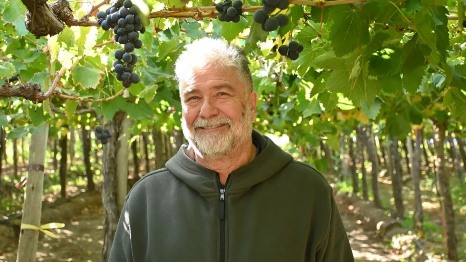 De Buenos Aires a Río Negro: apuesta por uva de mesa