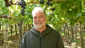 De Buenos Aires a Río Negro: apuesta por uva de mesa