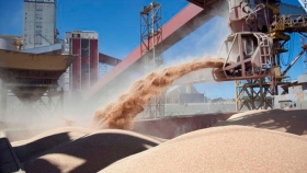 Abren el registro de empresas para exportar cebada, soja, maíz y sorgo a China