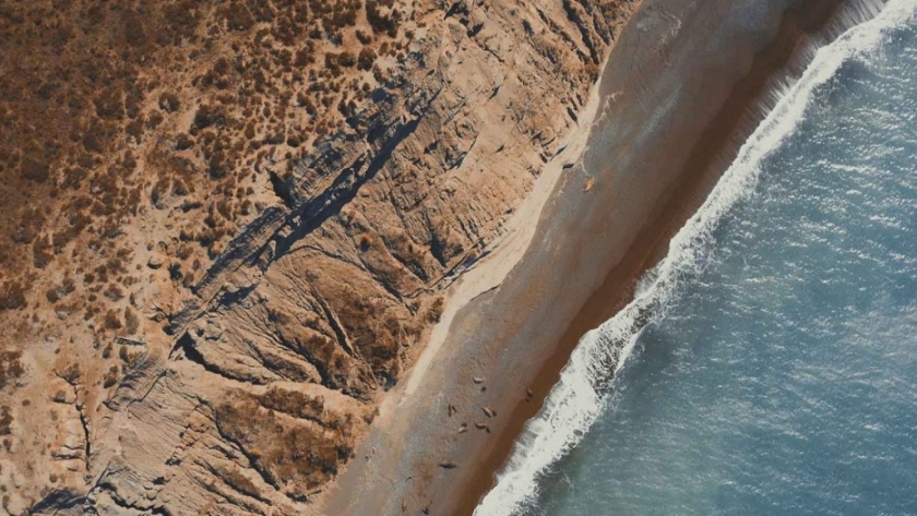 Chubut junto a Iniciativa Pampa Azul presentó un proyecto de conectividad digital para Península Valdés