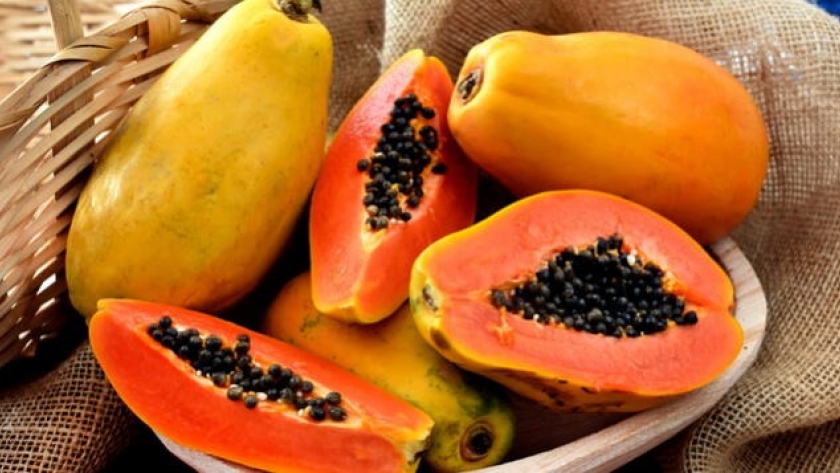 Producción formoseña de papaya despunta en Laguna Naineck