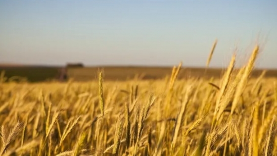 <Cayó la venta de campos en diciembre y aseguran que hubo un motivo muy particular