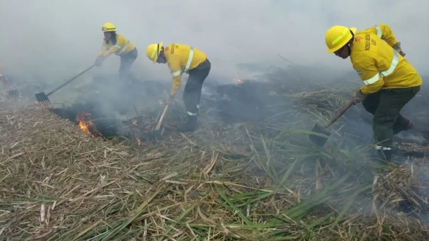 Incendios: el despliegue del Gobierno dio resultados positivos