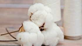 El Corte Inglés se compromete a una compra responsable de algodón