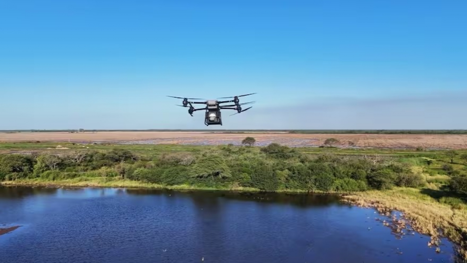 Drones y cápsulas biodegradables: la nueva forma de reforestar
