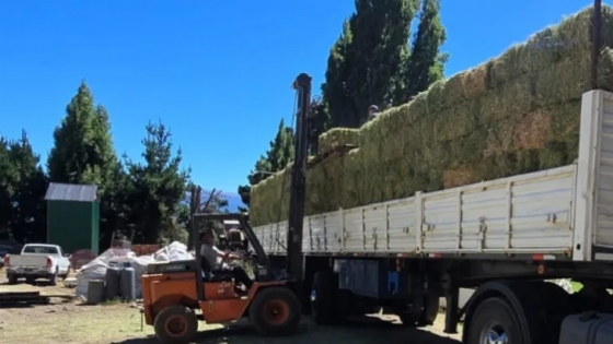 El Bolsón: asisten con forraje a productores afectados por el incendio