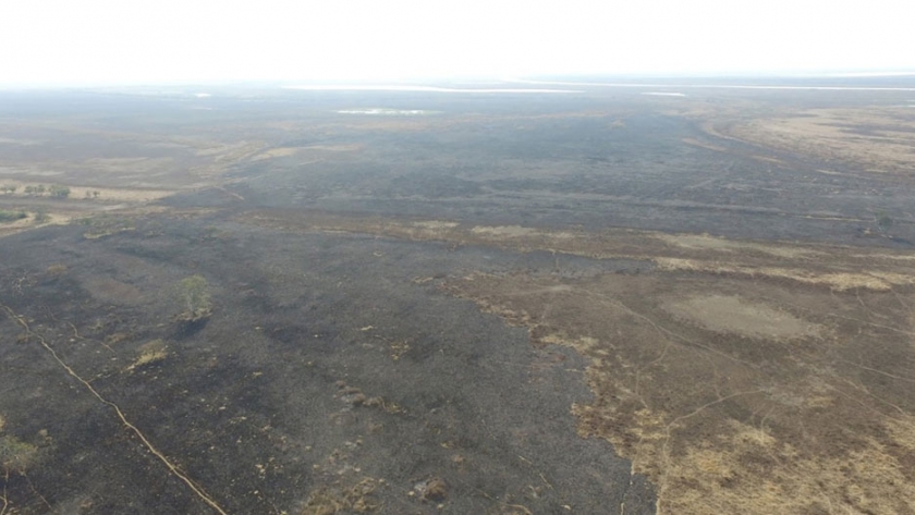 El combate del fuego, la prevención y la planificación son los ejes del trabajo en el delta