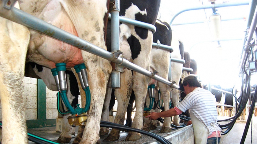 Las exportaciones lácteas ya representan el 22% de la producción argentina