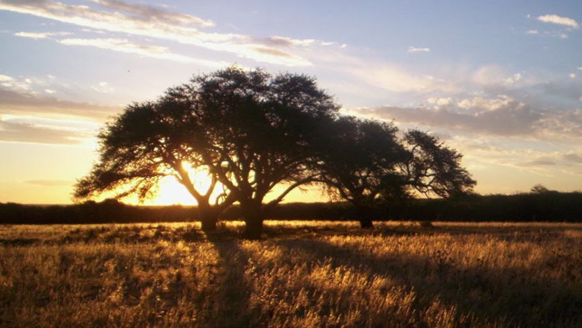 Primeros pasos hacia un nuevo parque nacional en La Pampa