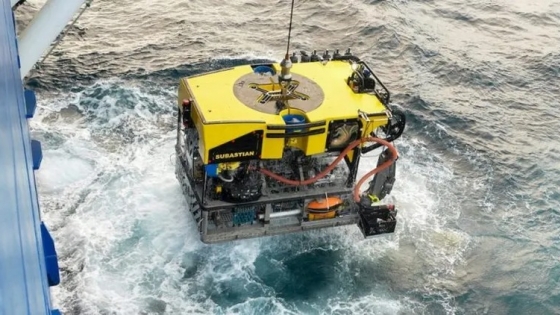 Talud Continental IV: la expedición que revolucionó la ciencia argentina volverá al Mar Argentino