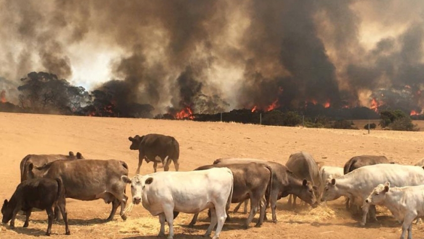 Corrientes: solidaridad al servicio de los productores