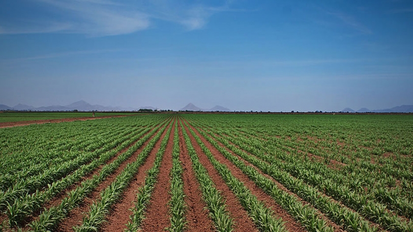 México aplicará medidas espejo si EU limita agroproductos