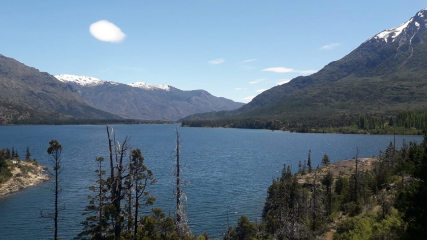 La secretaría de bosques de Chubut coordinó la reunión de la comisión de bosques nativos
