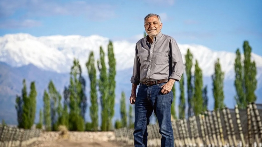 Cuál es la importancia de las empresas familiares en el negocio del vino
