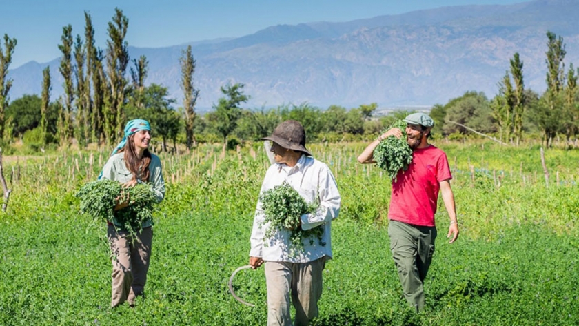 El Turismo Rural Comunitario como generador de inclusión en Salta