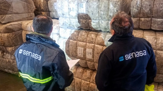 Primera exportación de lana sucia desde una barraca de campo en Chubut marca avance para el sector ovino