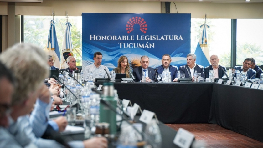 Royon afirmó: “Massa apostó a la infraestructura energética con una mirada a mediano y largo plazo”