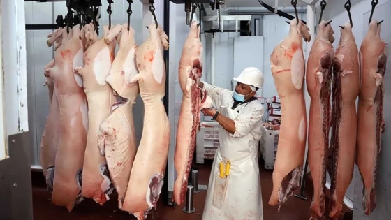Inversión millonaria impulsa al sector porcino argentino y abre una nueva etapa exportadora