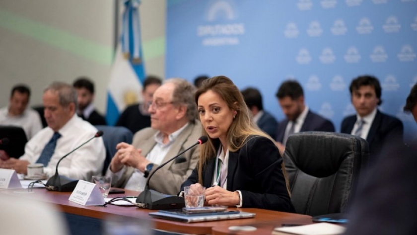 Flavia Royón presentó los lineamientos de la política energética para el 2023