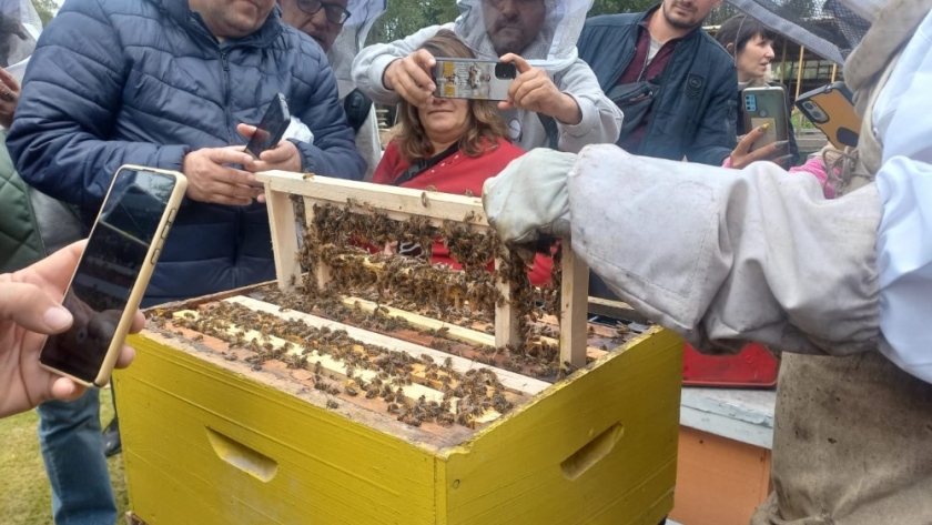 Apicultura: un sector productivo con gran potencial en Misiones