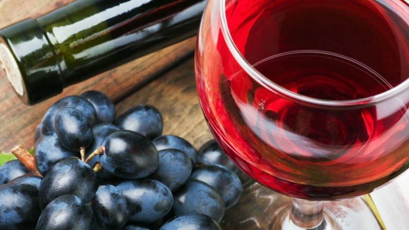 "Vino, viajes y encuentros: una experiencia argentina", un ciclo para conocer la oferta enoturística del país