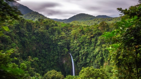 Costa Rica: cómo un país triplicó sus bosques y multiplicó su economía sin explotar la naturaleza