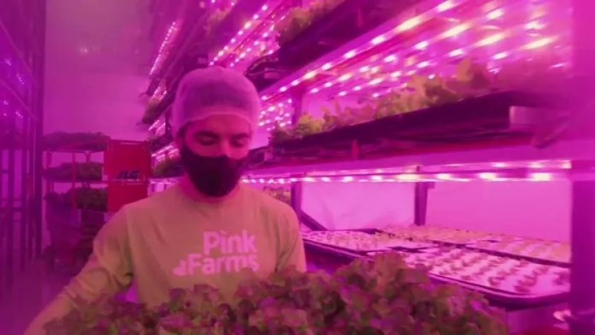 Una startup paulista se encamina a producir 80 variedades de alimentos en granjas verticales By BioEconomía- octubre 30, 20230