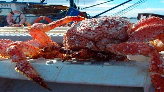 Se habilitó la primera planta procesadora de pescados y mariscos |  