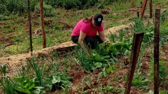 Agricultura familiar: Técnicos brindaron acompañamiento a productores en 25 de Mayo