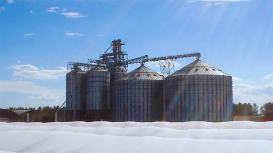 La liquidación de granos ya superó el 50% de la cosecha 2023/24